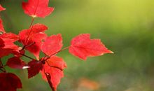 学生作文｜致敬英雄