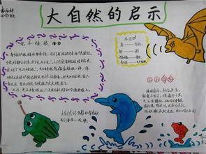大自然的启示_450字