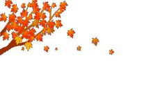 我是大自然中的一员――秋雨_700字