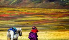 初中生优秀作文：《我魂牵梦绕的故乡》，道不尽的永恒的美丽！