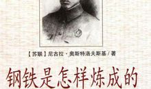 七年级钢铁是怎样炼成的800字读后感