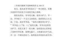 “小马虎”种树 关于植树节的作文300字