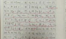 植树活动 去种树作文300字