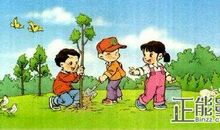 我会种树啦 记一次植树活动作文600字