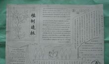 快乐的植树节 小学写事作文300字