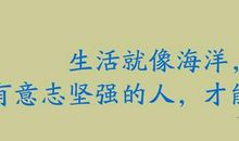 坚强执着的名人名言_800字