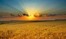 描写秋天的经典句子