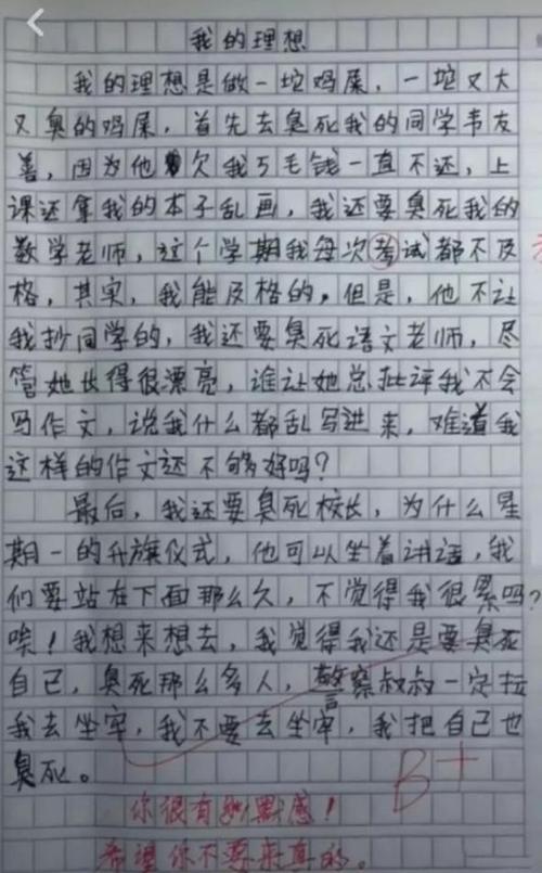 阿太笑了作文
