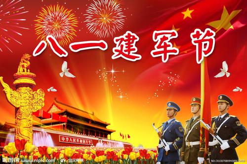 愉快的“八一”建军节_600字