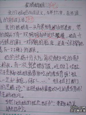 过年100字作文4篇