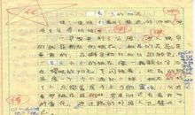 墙缝中也能开花-优秀记叙文550字