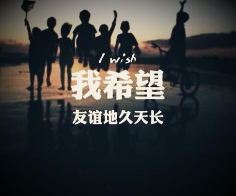 初入的友谊_750字