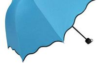 五年级作文：爱的雨伞