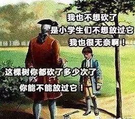 “爸爸就是不动如山！”00后写起作文有多野？差点笑断气 35