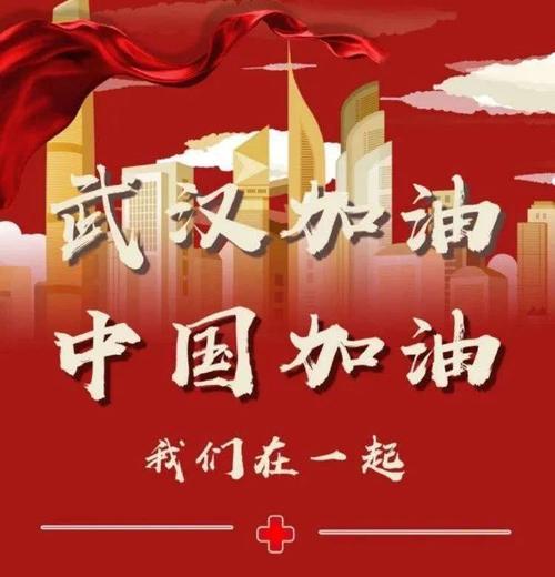 不平凡的春节 武汉加油，中国加油作文600字