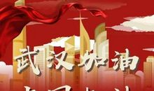 不平凡的春节 武汉加油，中国加油作文600字