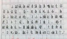 小学生优秀想象作文：我，是一颗种子