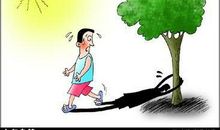 “人与自然”类素材的积累与运用