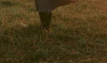 这就是做淑女的感觉 ——《爱是优雅之门》读后感与实践