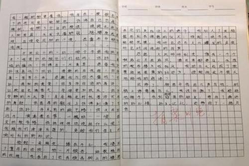 盐场风情 优秀写景作文700字