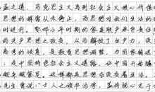 富饶的湛江850字作文