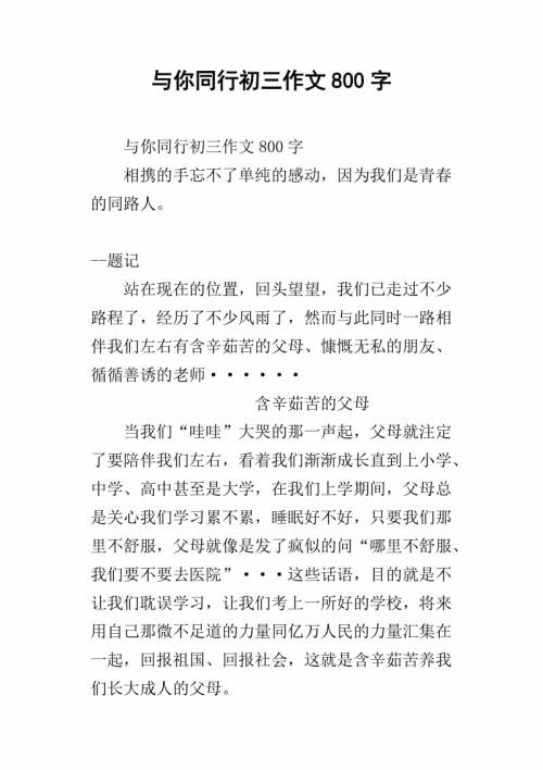 与你同行 优秀记叙文500字