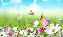 木叶长青-关于希望的作文700字