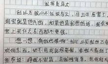 恶搞火临天下作文