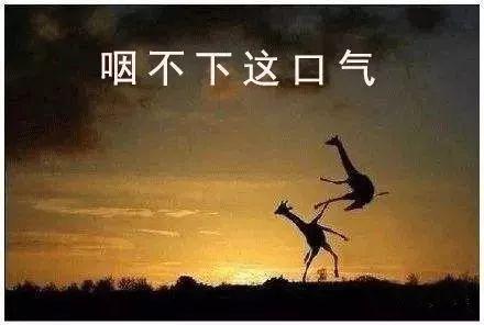 “爸爸就是不动如山！”00后写起作文有多野？差点笑断气 31