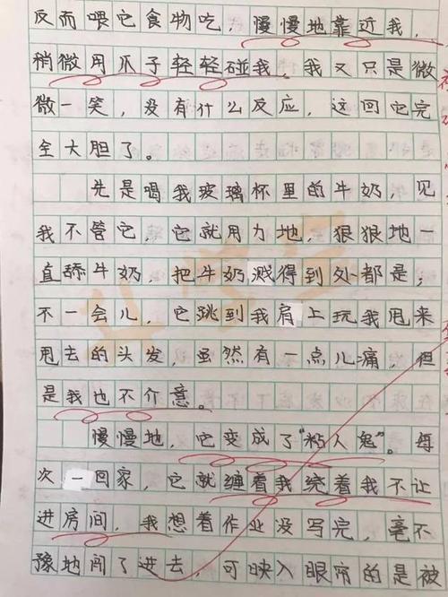 人类的情感-小学记叙文500字