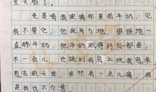 人类的情感-小学记叙文500字