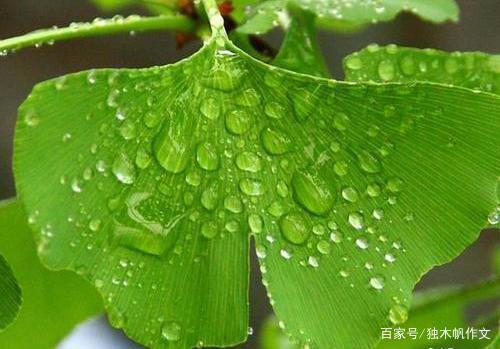 六年级作文:天然气的自述