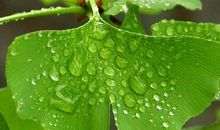 六年级作文：天然气的自述