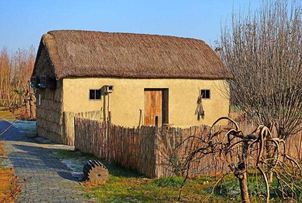 分享小学生作文,我阅读,我快乐,《草房子》读后感 3