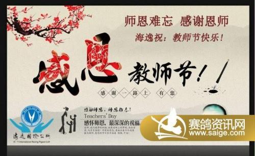 影子 师恩难忘作文700字