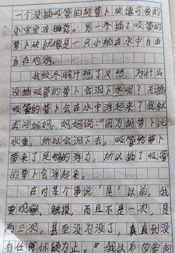萝卜在水中是浮还是沉?孩子用实验作文告诉你答案,结果很有意思 2