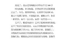 不舍-我们毕业了作文500字