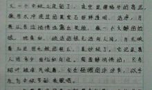 一篇保存70天的日记_600字