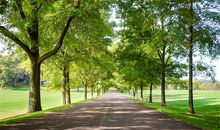 写事作文：那一次，我真感动