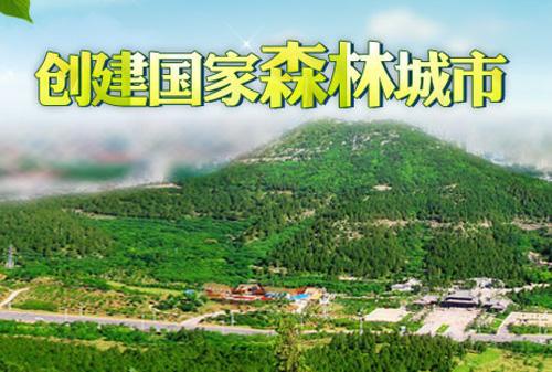 创建森林城市_1500字