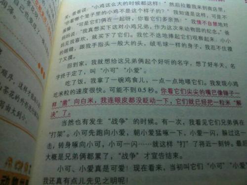 描写动物的精彩句子_2000字