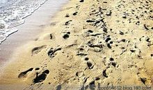 泥泞的路才能留下脚印_800字