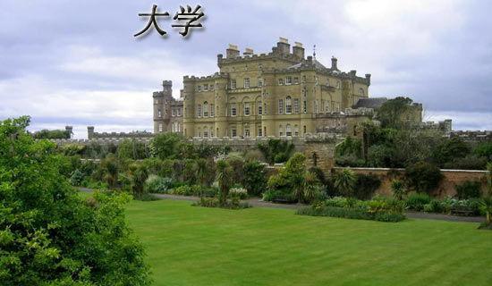 我的邻居_英语作文