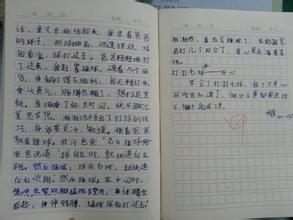 学打羽毛球 小学写事作文400字
