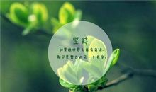 坚持不懈才能看到山的那边-优秀议论文700字