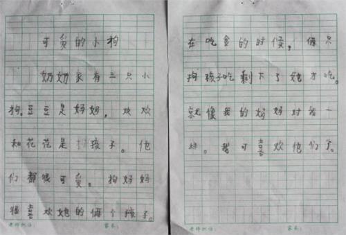 作文范文：小学生一年级作文日记20篇