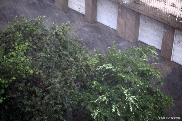 二年级写景作文：说说你见过什么样的雨，当时是怎样的情景