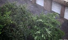 二年级写景作文：说说你见过什么样的雨，当时是怎样的情景