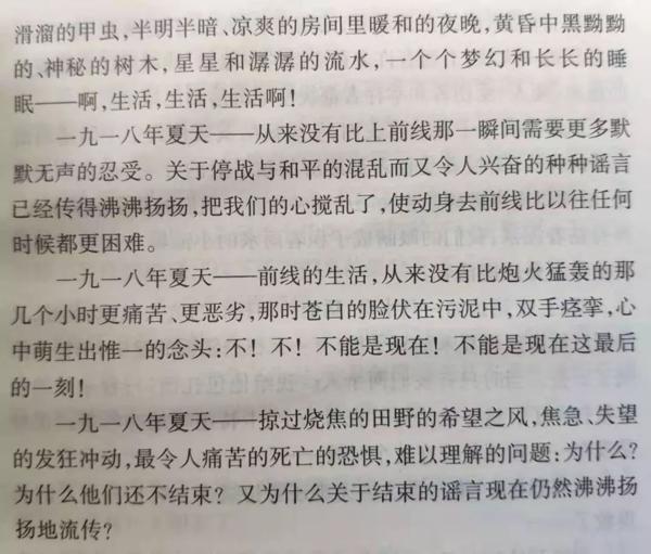 《西线无战事》读后感：愿世间再无战争 10