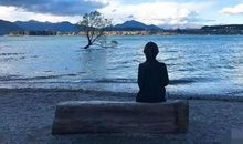 小学生作文《孤独》满分，全文没提到“孤独”，却让人潸然泪下